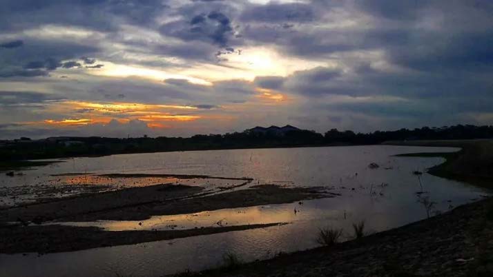 Situ Kamojing