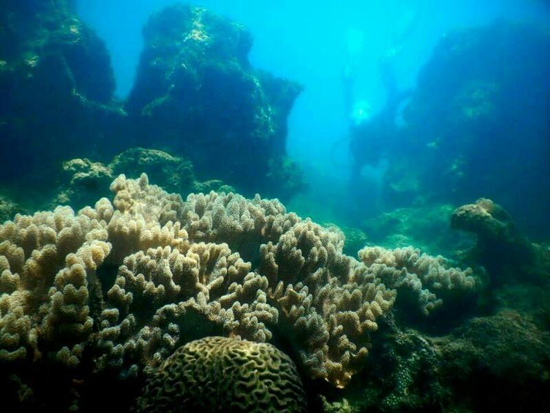 Pantai Mutiara