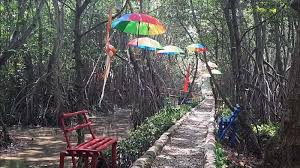 Hutan Bakau Sedari