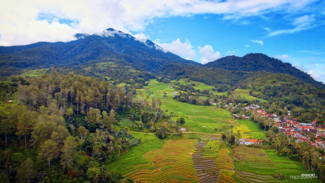 Desa Kamojing