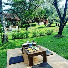 Area Outdoor